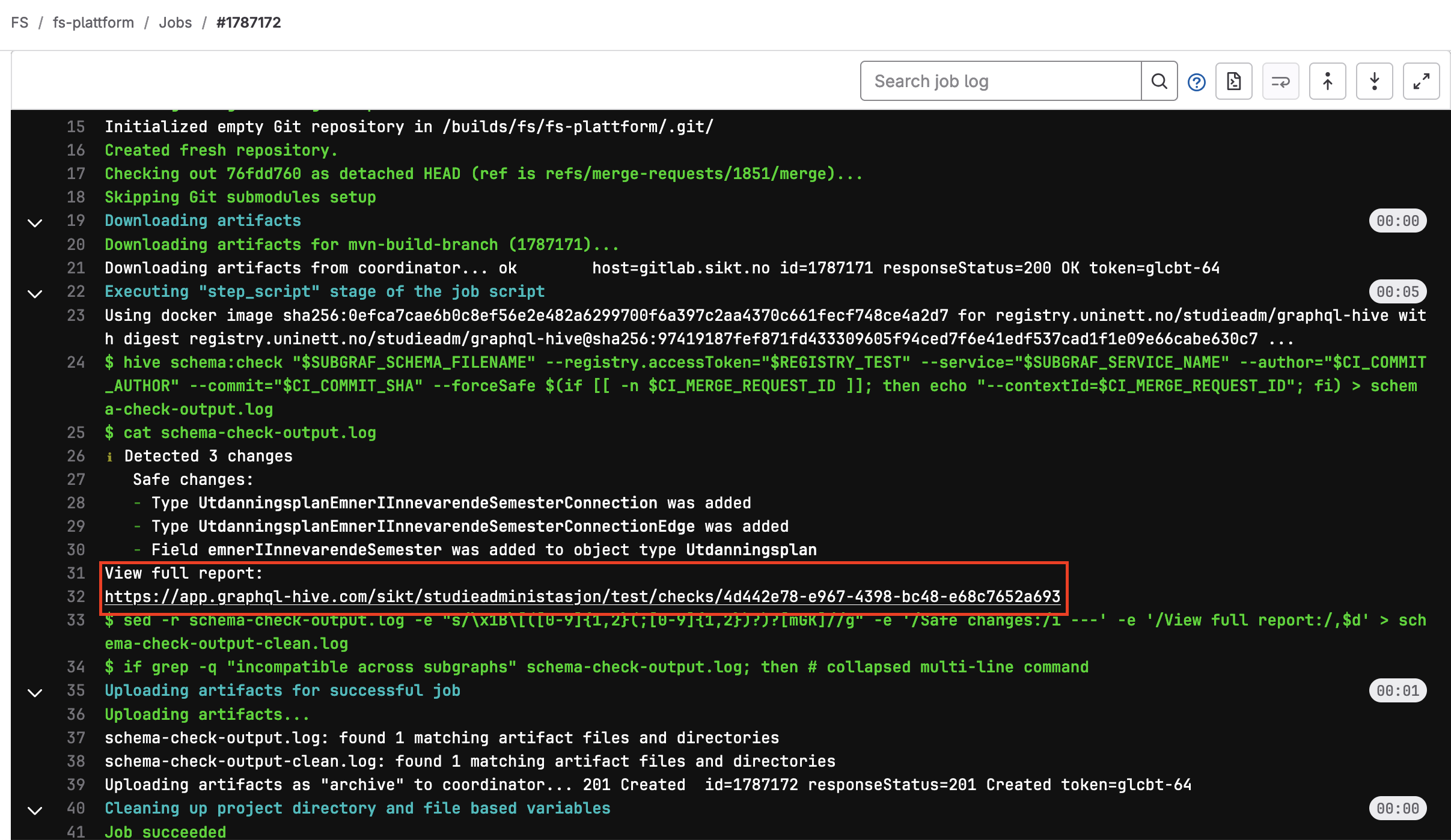 Skjema-check-job-output